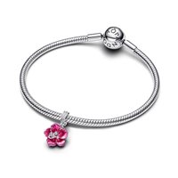 Charm Pandora Donna Nature and Celestial in Argento Cubic Zirconia 794698C01 - 794698C01
